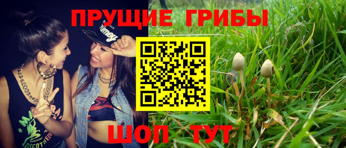 Сыктывкар  наркотики  Вход с VPN  Псилоцибиновые грибы мицелий  Псилоцибиновые грибы Magic Shrooms 