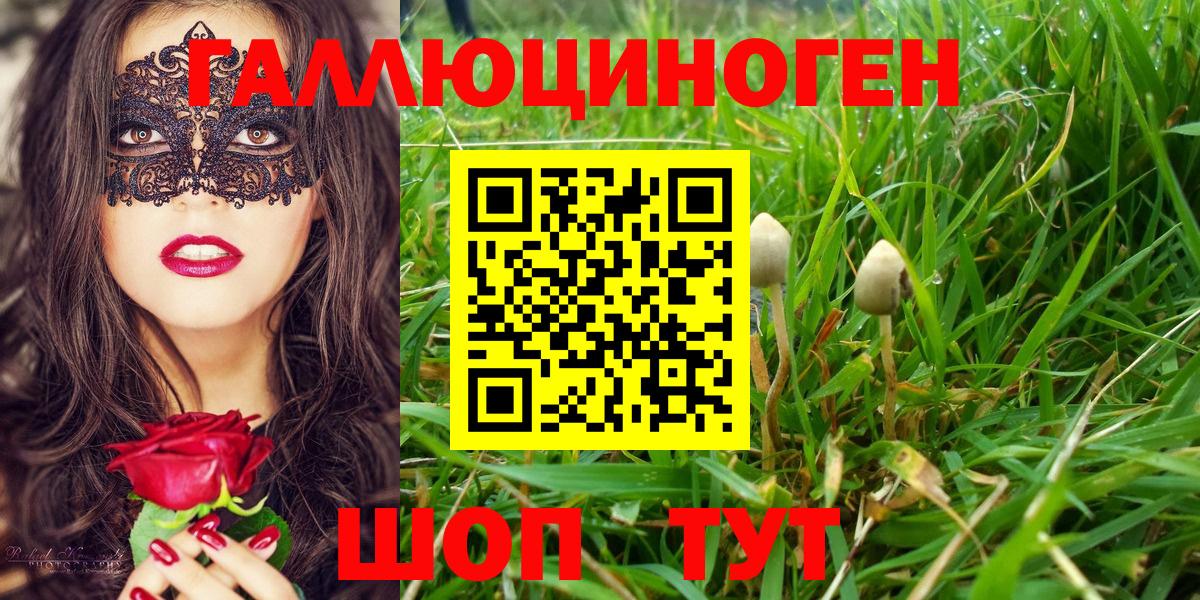 Галлюциногенные грибы MAGIC MUSHROOMS Сыктывкар