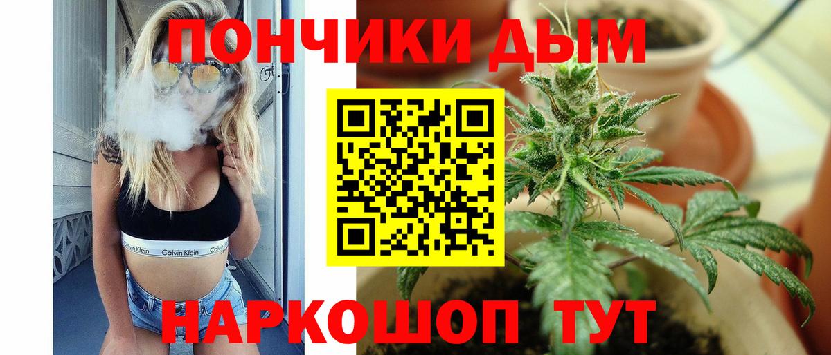 Конопля тримм  Бошки Шишки SATIVA & INDICA  Конопля SATIVA & INDICA  Сыктывкар  Вход с VPN 